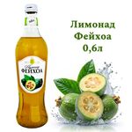 Напиток безалкогольный сильногазированный"Лимонад со вкусом Фейхоа" ТМ Вкус Года 0,6 л оптом